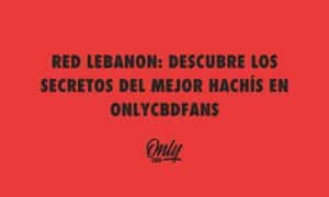 RED LEBANON DESCUBRE LOS SECRETOS DEL MEJOR HACHÍS EN ONLYCBDFANS