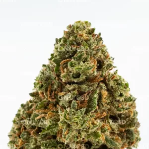 Amnesia OG - Foto producto