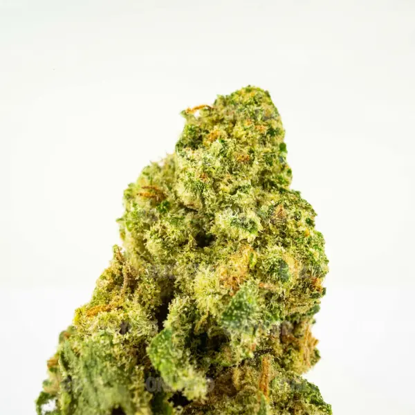 CHERRY BOMB CALI-CBD-3