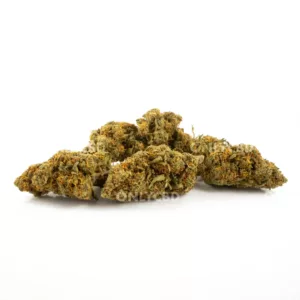 Gelato 33 - Foto producto 3