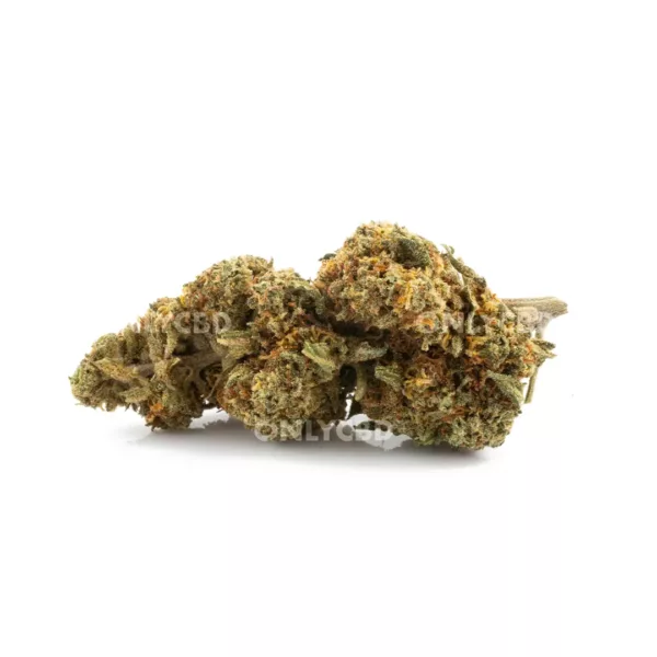 Gelato 33 - Foto producto