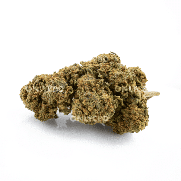 Mango Haze - Foto producto 2