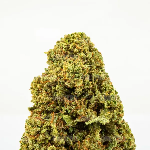 MANGO-HAZE-CBD