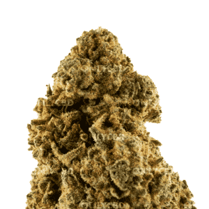 Mango Haze - Foto producto