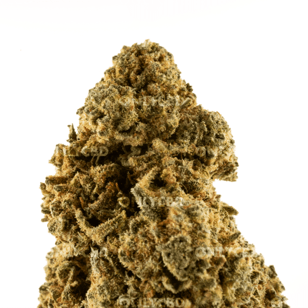 Mango Haze - Foto producto