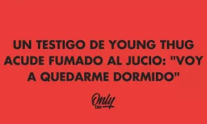 JOVEM BANDIDO TESTEMUNHA COMPARECE AO ENSINO MÉDIO: "VOU DORMIR"