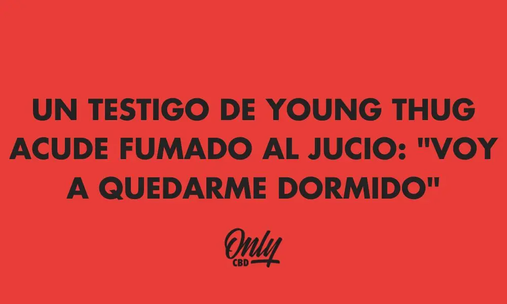 JOVEM BANDIDO TESTEMUNHA COMPARECE AO ENSINO MÉDIO: "VOU DORMIR"