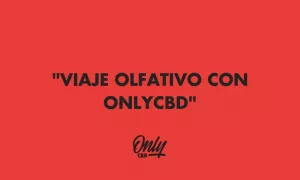 Jornada Olfativa com OnlyCBD