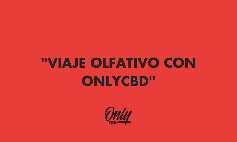 Jornada Olfativa com OnlyCBD