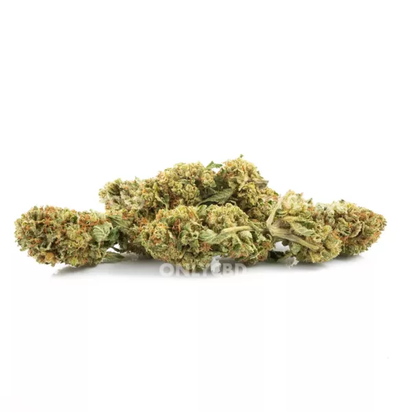 BANANA COGOLLOS_MA Banana Smash - Foto producto 3