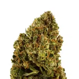 Berry Cream - Foto producto