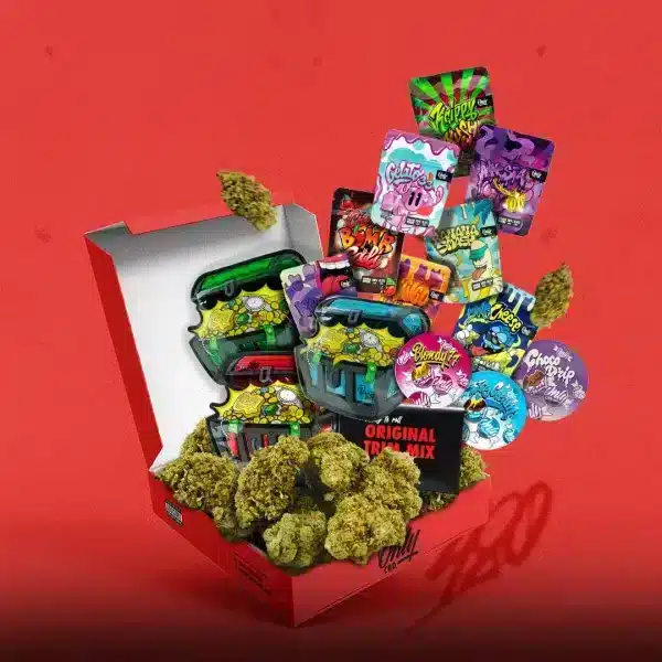 Pack Full Experience CBD