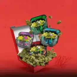 MINI BUDS PACK