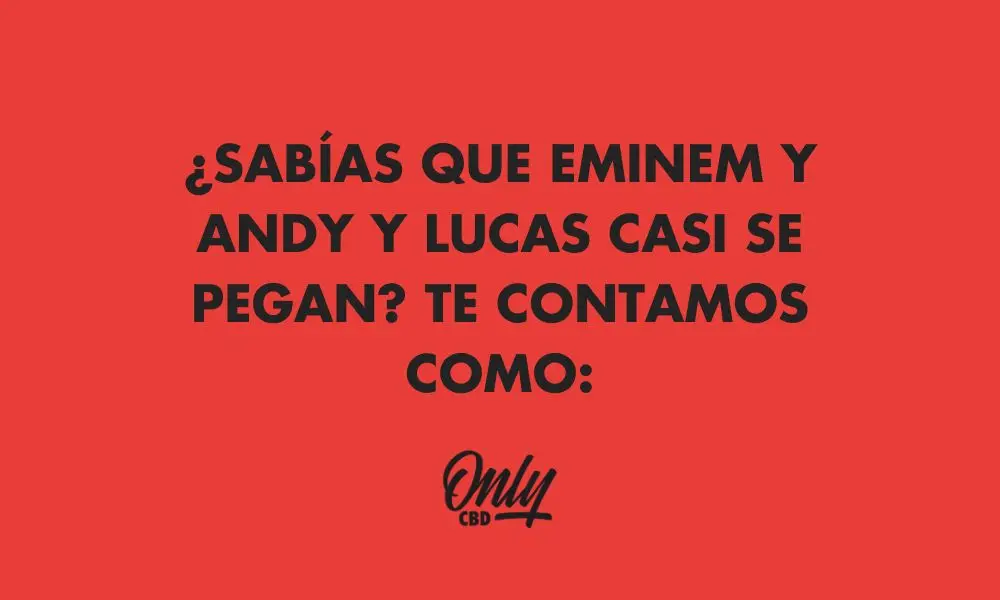 ¿SABÍAS QUE EMINEM Y ANDY Y LUCAS CASI SE PEGAN? TE CONTAMOS COMO: