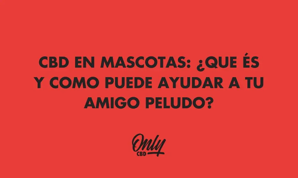 CBD em animais de estimação