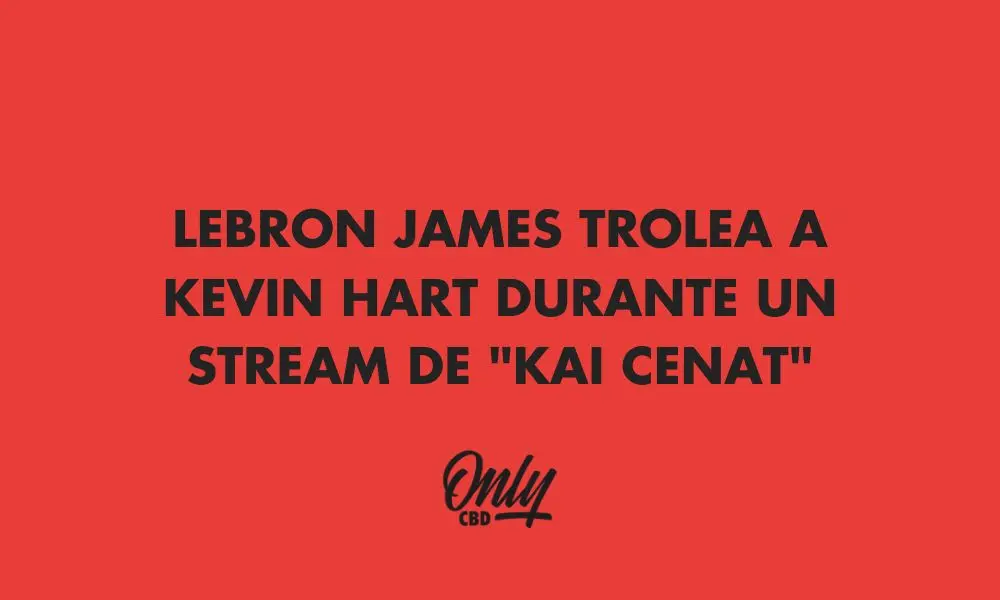 LEBRON JAMES TROLLEYS ON STREAMING KAI CENAT