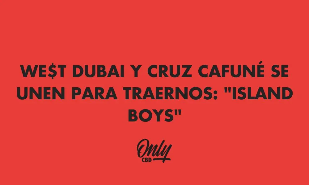 WEST DUBAI Y CRUZ CAFUNÉ EN ISLAND BOYS