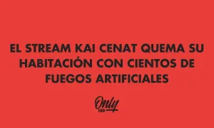 Kai Cenat burns his room