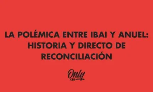 THE CONTROVERSY BETWEEN IBAI AND ANUEL