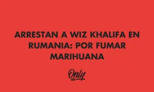 Wiz Kahlifa arrest in Romania