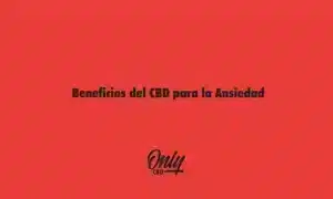 Benefícios do CBD para ansiedade