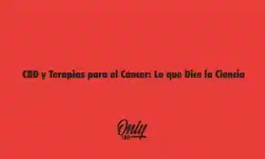 CBD and Cancer Therapies