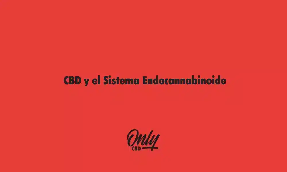 CBD e o Sistema Endocanabinoide