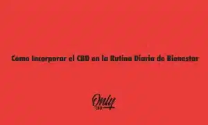 How to Incorporate CBD into Your Daily Wellness Routine