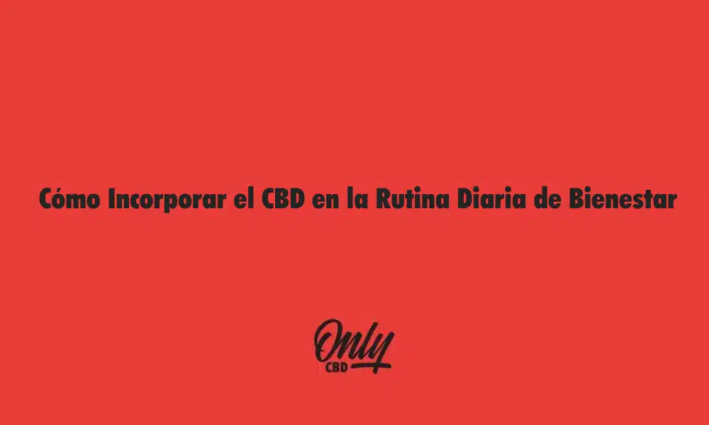 How to Incorporate CBD into Your Daily Wellness Routine