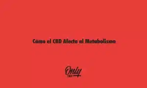 Como o CBD afeta o metabolismo
