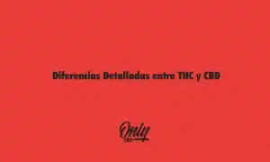 Detailed Differences Between THC and CBD