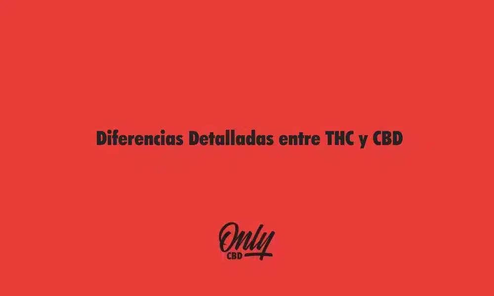 Detailed Differences Between THC and CBD