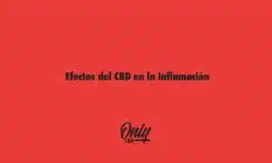 Efeitos do CBD na inflamação