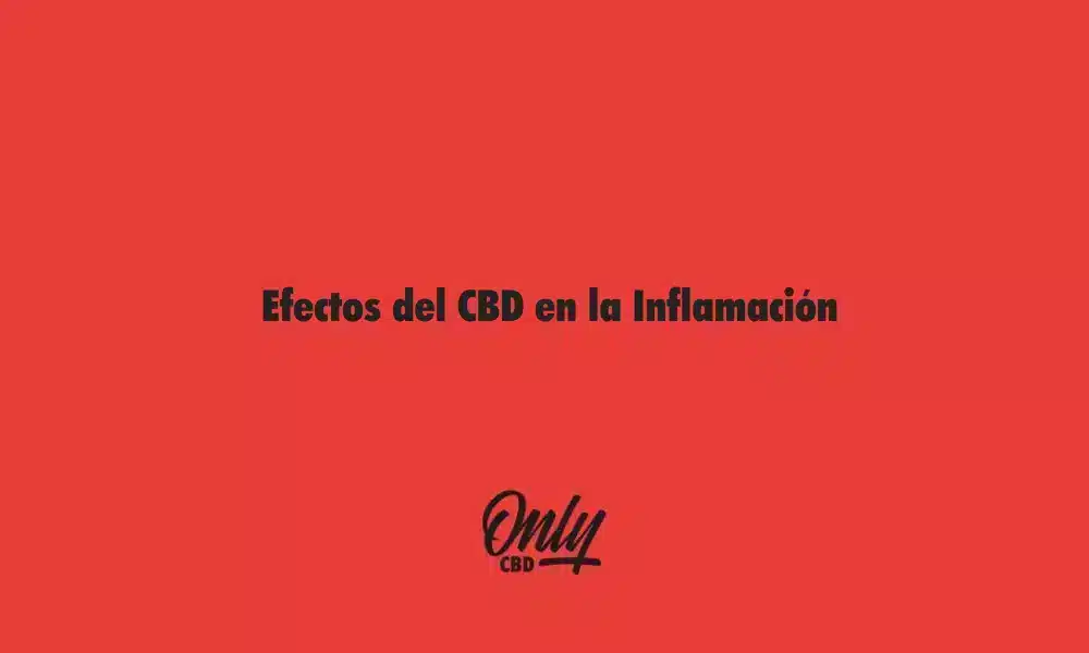 Efeitos do CBD na inflamação
