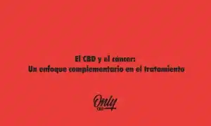 CBD and cancer