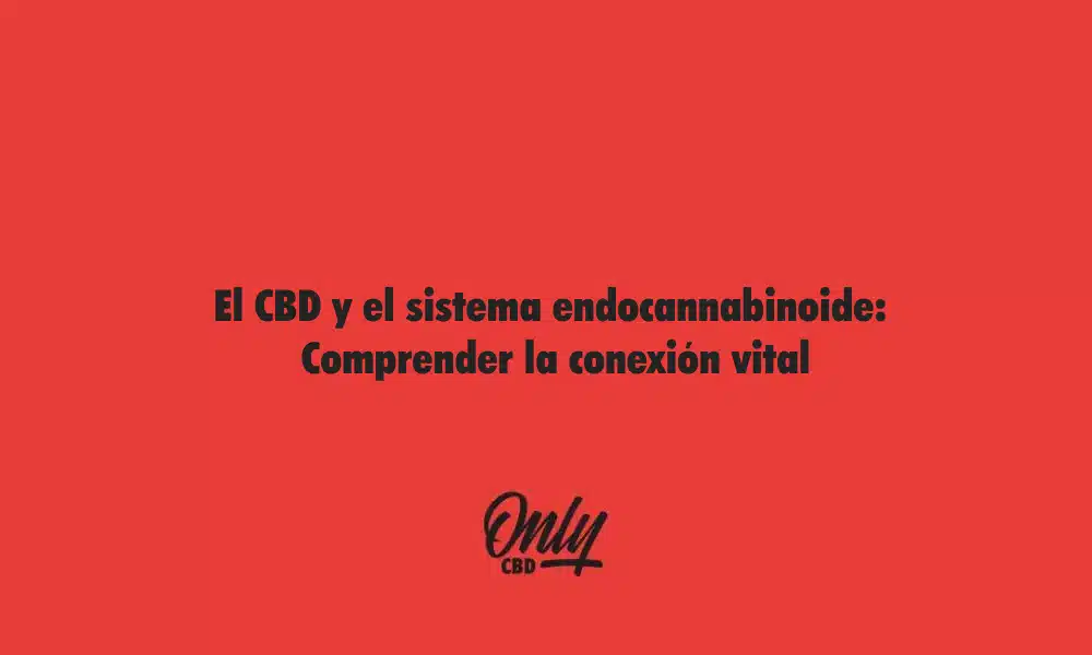 CBD and the endocannabinoid system