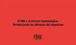 CBD and the immune system