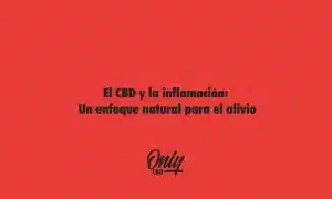 CBD and inflammation