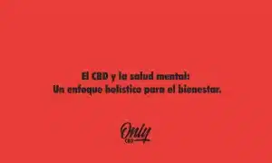 CBD and mental health