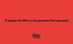 The Impact of CBD on Recovery