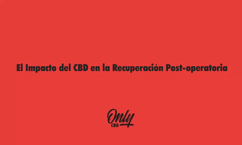 El Impacto del CBD en la Recuperación