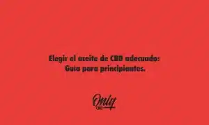 Choosing the Right CBD Oil