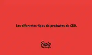 The different types of CBD products.