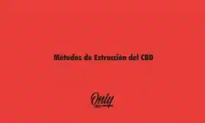 CBD Extraction Methods