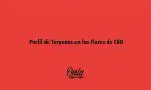 Terpene Profile in CBD Flowers