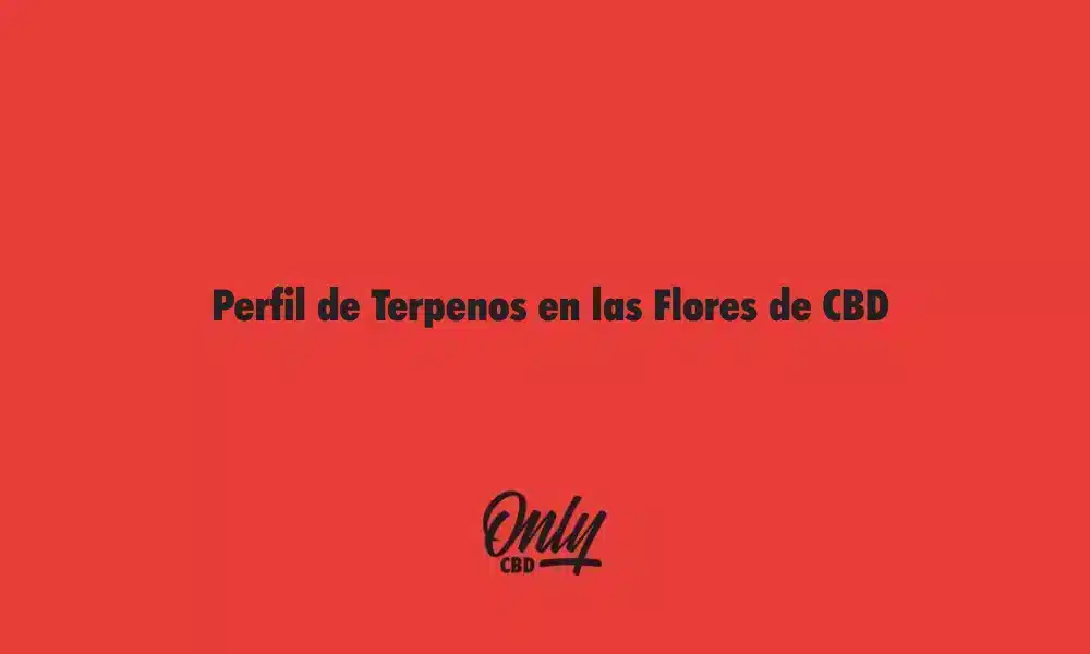 Terpene Profile in CBD Flowers