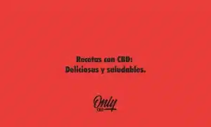 Recipes with CBD