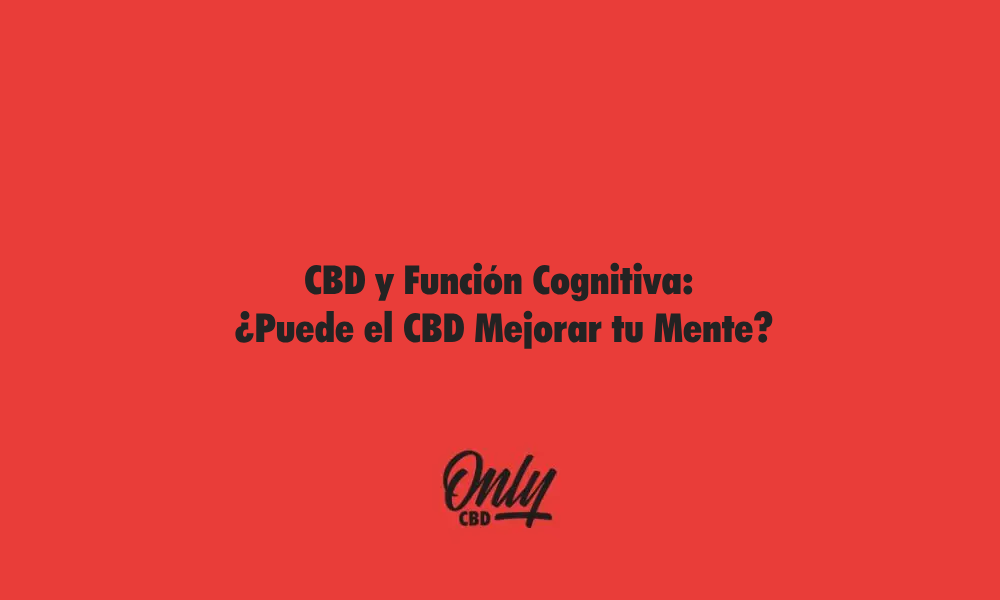 CBD e função cognitiva