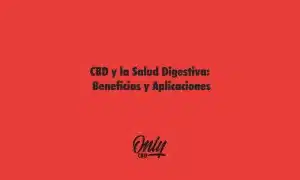 CBD e saúde digestiva