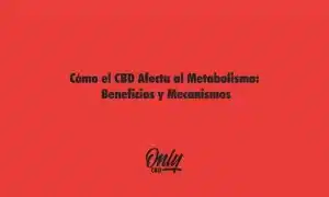 Como o CBD afeta o metabolismo